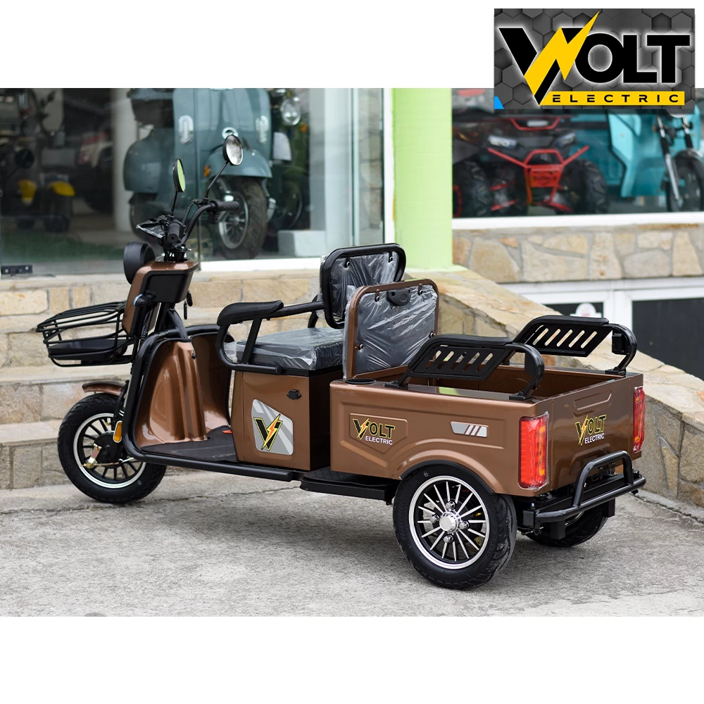 Двуместна cargo електрическа триколка volt electric a10, 1500w, gold