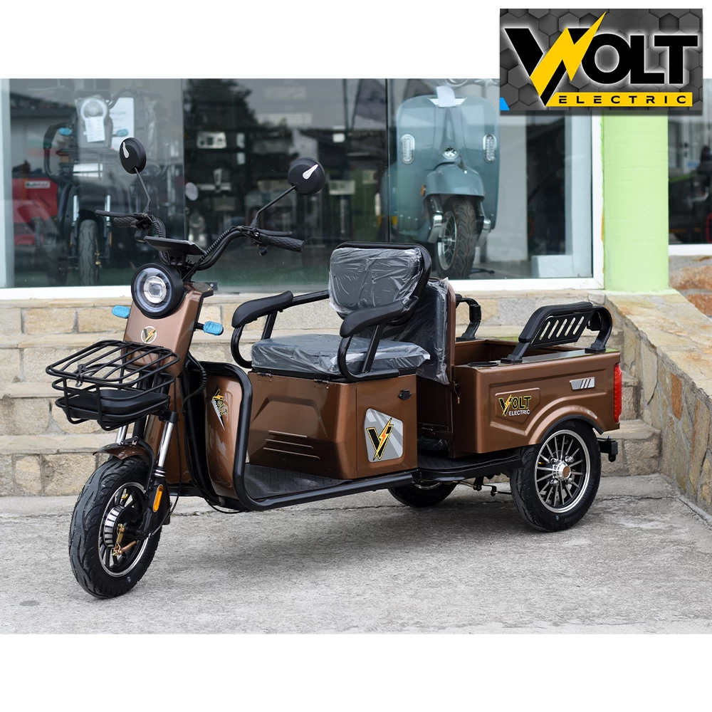 Двуместна cargo електрическа триколка volt electric a10, 1500w, gold