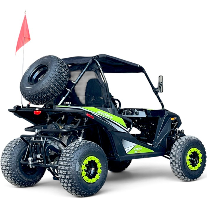 Двуместно бензиново offroad utv Бъги 200сс, Безплатен profi пакет