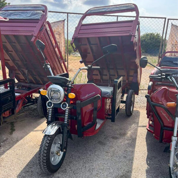 Товарна електрическа триколка heavy cargo 2000w, 600кг, max motors